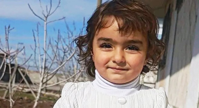 Sokak köpeklerinin saldırısına uğrayan Nazlı, ağır yaralandı