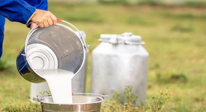 Süt üreticisinin gözü USK'da
