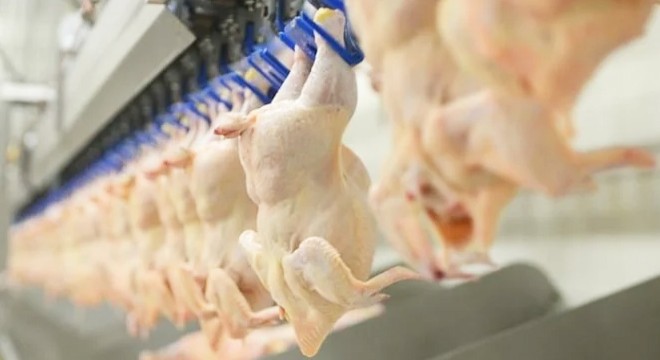 Tavuk sektöründe kriz derinleşiyor