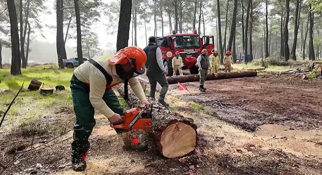 Türkiye Ormancılık Yarışmaları tamamlandı