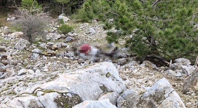 Uçurumda bulunan cesetle ilgili 4 tutuklama