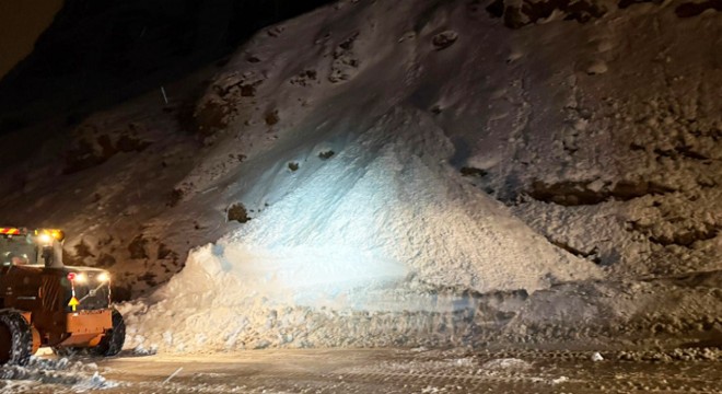 Van-Bitlis karayoluna çığ düştü