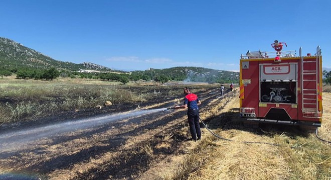Yeşilova'da saman ve anız yangını