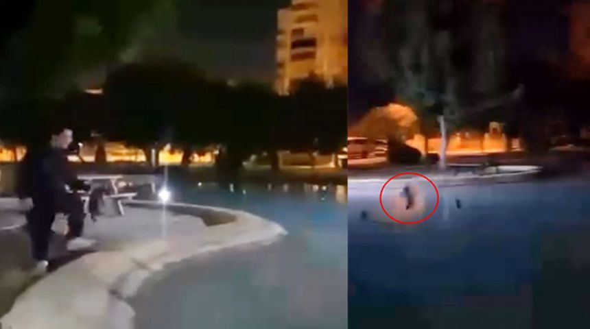 Sen insan değilsin... Muratpaşa'da kediye havuz zulmü...